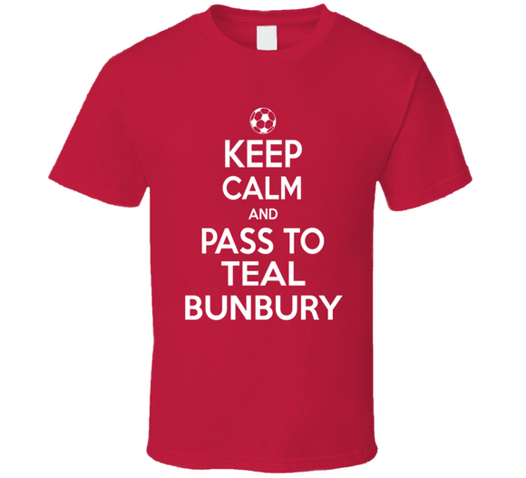 Teal Bunbury Keep Calm Pass To New England Soccer T Shirt