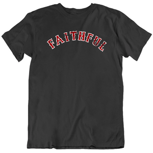 Boston Faithful Baseball Fan Distressed V2 T Shirt