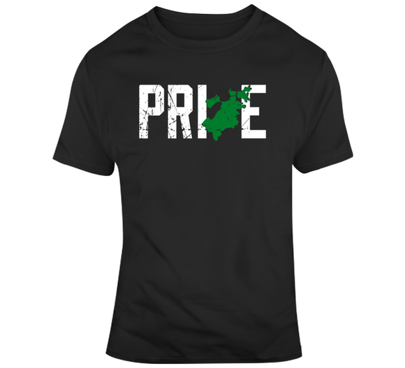 Pride Boston Sports Basketball Fan T Shirt