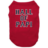 David Ortiz Big Papi Hall of Papi Boston Baseball Fan T Shirt