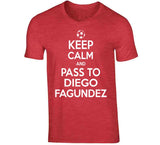 Diego Fagundez Keep Calm Pass To New England Soccer T Shirt