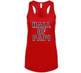 David Ortiz Big Papi Hall of Papi Boston Baseball Fan T Shirt