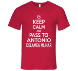 Antonio Delamea Mlinar Keep Calm Pass To New England Soccer T Shirt