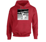 Ted Williams Boston Legend Baseball Fan v5 T Shirt