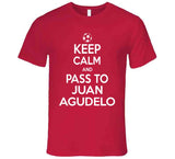 Juan Agudelo Keep Calm Pass To New England Soccer T Shirt