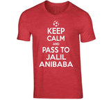 Jalil Anibaba Keep Calm Pass To New England Soccer T Shirt