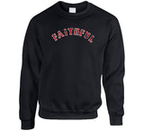 Boston Faithful Baseball Fan Distressed V2 T Shirt