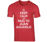Juan Agudelo Keep Calm Pass To New England Soccer T Shirt